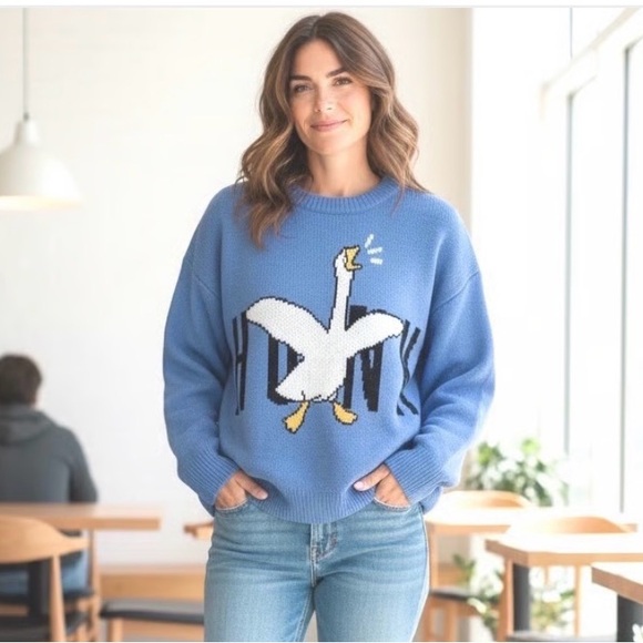 Aelfric Eden Sweaters - ⭐️Aelfric Eden Goose “Honk” Oversized Graphic Unisex Sweater⭐️